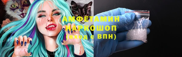 амф Ельня