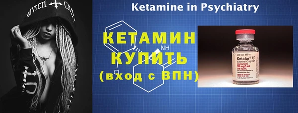 амф Ельня