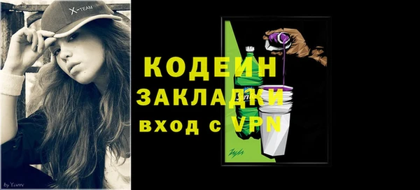 амф Ельня