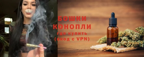 амф Ельня