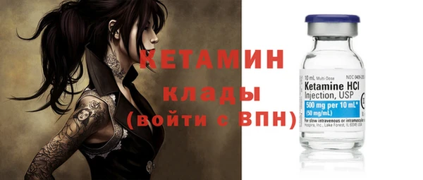 амф Ельня