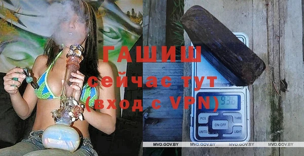 амф Ельня