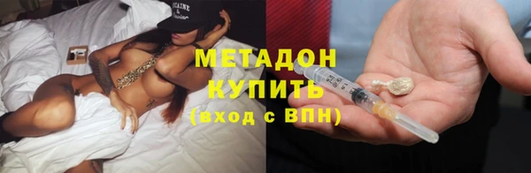 амф Ельня