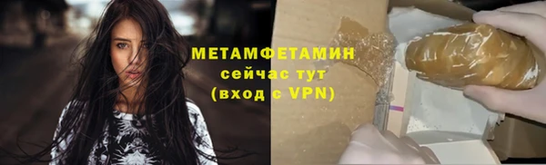 амф Ельня