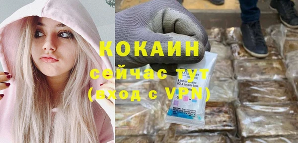 амф Ельня