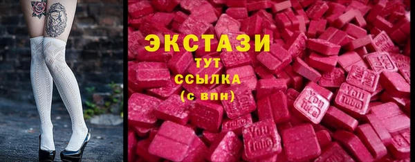 амф Ельня