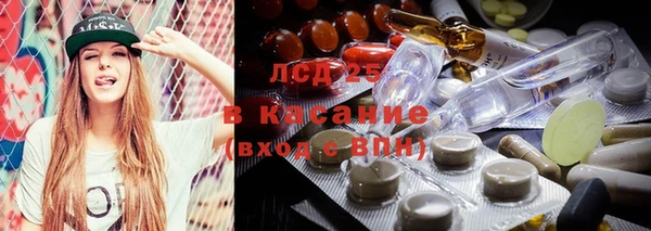 амф Ельня